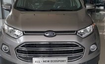 Ford EcoSport Titatium 2016 - Cần bán Ford EcoSport Titatium đời 2016, màu xám giá cạnh tranh