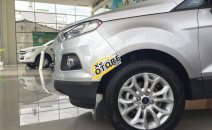 Ford EcoSport Titatium   2016 - Bán xe Ford EcoSport Titatium năm 2016, màu bạc 