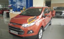 Ford EcoSport MT  2016 - Ford Ecosport 2017 MT, hỗ trợ đăng ký đăng kiểm, giao xe tỉnh, giá tốt giao xe ngay