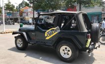 Jeep Wrangler MT 1995 - Cần bán lại xe Jeep Wrangler đời 1995, màu xanh lam, nhập khẩu số sàn