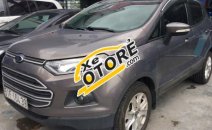 Ford EcoSport   MT  2015 - Bán ô tô Ford EcoSport MT đời 2015 xe gia đình, giá 495tr