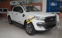 Ford Ranger Wildtrak 3.2L AT 4x4, đủ màu, giao ngay, nhập khẩu nguyên chiếc Ford Ranger Wildtrak 3.2L AT 4x4, đủ màu, giao ngay, nhập khẩu nguyên chiếc