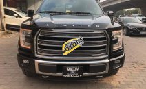 Cần bán xe Ford F150 3.5 V6 Limited đời 2019, màu đen, nhập khẩu mới 100%, giao ngay Cần bán xe Ford F150 3.5 V6 Limited đời 2019, màu đen, nhập khẩu mới 100%, giao ngay