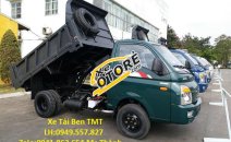 Cửu Long 2018 2018 - Cần bán xe ben DAISAKI TMT Cửu Long 1 - 3 tấn 2018 năm 2018, màu trắng
