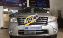 Bán Ford Everest 4x2 MT đời 2011, màu bạc, 575 triệu Bán Ford Everest 4x2 MT đời 2011, màu bạc, 575 triệu