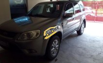 Cần bán xe Ford Escape XLS 2013, màu xám (ghi) Cần bán xe Ford Escape XLS 2013, màu xám (ghi)