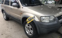 Bán em Ford Escape XLT 2003 màu vàng cát Bán em Ford Escape XLT 2003 màu vàng cát