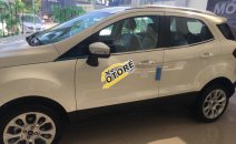 Ford EcoSport 2018 - Bán Ford Ecosport Titanium giá 615 tại Thái Bình, hotline: 0901336355