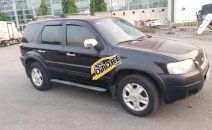 Bán Ford Escape XLT sản xuất 2004, màu đen Bán Ford Escape XLT sản xuất 2004, màu đen