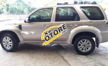 Bán Ford Escape XLS đời 2014, màu hồng phấn Bán Ford Escape XLS đời 2014, màu hồng phấn
