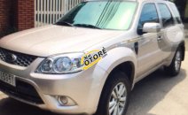 Bán xe Ford Escape XLS năm 2013, màu phấn hồng Bán xe Ford Escape XLS năm 2013, màu phấn hồng