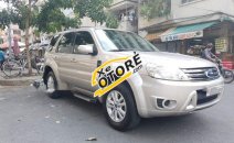 Bán Ford Escape 2.3 XLS sản xuất năm 2010, màu vàng cát Bán Ford Escape 2.3 XLS sản xuất năm 2010, màu vàng cát