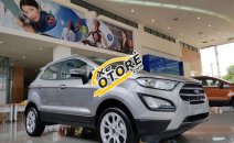 Bán Ford EcoSport Trend AT đời 2018, màu bạc giá cạnh tranh Bán Ford EcoSport Trend AT đời 2018, màu bạc giá cạnh tranh