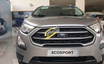 Khuyến mãi siêu khủng Ford Ecosport 2018 Khuyến mãi siêu khủng Ford Ecosport 2018