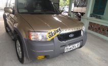 Cần bán Ford Escape XLT đời 2003, màu vàng cát, số tự động, giá chỉ 165 triệu Cần bán Ford Escape XLT đời 2003, màu vàng cát, số tự động, giá chỉ 165 triệu