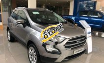 Bán xe Ford EcoSport Trend năm sản xuất 2018, màu bạc Bán xe Ford EcoSport Trend năm sản xuất 2018, màu bạc