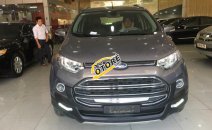Cần bán Ford EcoSport Titanium 1.5AT sản xuất năm 2016, màu xám Cần bán Ford EcoSport Titanium 1.5AT sản xuất năm 2016, màu xám