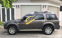 Bán Ford Everest Limited sản xuất 2014, màu xám số tự động, 675 triệu Bán Ford Everest Limited sản xuất 2014, màu xám số tự động, 675 triệu