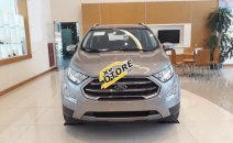 Ford EcoSport 2018 - Xe Ecosport 2018 giao ngay, hỗ trợ ngân hàng, tại Hưng Yên Call: 0843.557.222