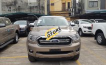 Bán Ford Ranger XLT 2.2 MT/AT 2019 - Giá cạnh tranh - Xe giao ngay Bán Ford Ranger XLT 2.2 MT/AT 2019 - Giá cạnh tranh - Xe giao ngay