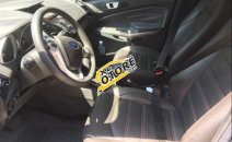 Mình cần bán Ford Ecosport AT Titanium sản xuất 2015, màu bạc, xe tuyệt đẹp Mình cần bán Ford Ecosport AT Titanium sản xuất 2015, màu bạc, xe tuyệt đẹp