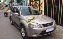 Gia đình cần bán Escape XLS 2010, số tự động, màu bạc Gia đình cần bán Escape XLS 2010, số tự động, màu bạc