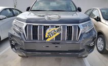 Toyota Tân Cảng bán Toyota Land Cruiser Prado nhập khẩu tại Nhật-mới 100% - đủ màu giao xe ngay Toyota Tân Cảng bán Toyota Land Cruiser Prado nhập khẩu tại Nhật-mới 100% - đủ màu giao xe ngay