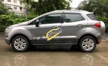 Bán Ford EcoSport Titanium 1.5L AT 2014, màu xám, giá cạnh tranh Bán Ford EcoSport Titanium 1.5L AT 2014, màu xám, giá cạnh tranh