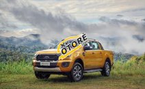 Bán ô tô Ford Ranger Wildtrack 2019, xe nhập, giá chỉ 918 triệu Bán ô tô Ford Ranger Wildtrack 2019, xe nhập, giá chỉ 918 triệu
