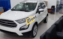 Bán xe Ford EcoSport Trend AT năm sản xuất 2019, màu trắng, giao ngay, nhiều khuyến mãi hấp dẫn Bán xe Ford EcoSport Trend AT năm sản xuất 2019, màu trắng, giao ngay, nhiều khuyến mãi hấp dẫn