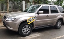 Bán ô tô Ford Escape năm sản xuất 2011, màu kem (be), giá tốt Bán ô tô Ford Escape năm sản xuất 2011, màu kem (be), giá tốt