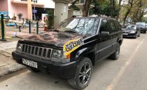 Bán Jeep Cherokee 5.7 MT AWD đời 1994, màu đen, nhập khẩu, giá chỉ 78 triệu Bán Jeep Cherokee 5.7 MT AWD đời 1994, màu đen, nhập khẩu, giá chỉ 78 triệu