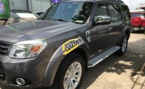 Cần bán xe Ford Everest Limited số tự động 1 cầu màu xám đời 2014 Cần bán xe Ford Everest Limited số tự động 1 cầu màu xám đời 2014