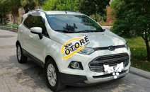 Cần bán Ford EcoSport Titanium sản xuất 2014, màu trắng, 450 triệu Cần bán Ford EcoSport Titanium sản xuất 2014, màu trắng, 450 triệu
