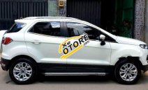 Bán Ford EcoSport 1.5L Titanium sản xuất 2017, màu trắng, nhập khẩu Bán Ford EcoSport 1.5L Titanium sản xuất 2017, màu trắng, nhập khẩu