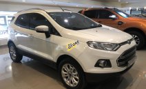 Bán Ford Ecosport Titanium 2017, đi 29000 km. Xe bán và bảo hành tại hãng Ford Bán Ford Ecosport Titanium 2017, đi 29000 km. Xe bán và bảo hành tại hãng Ford