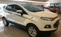 Bán Ford Ecosport Titanium 2017, đi 5000 km, xe bán và bảo hành tại hãng Ford Bán Ford Ecosport Titanium 2017, đi 5000 km, xe bán và bảo hành tại hãng Ford
