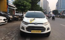Bán ô tô Ford EcoSport 2015 AT bản Titanium, biển thành phố, màu trắng Bán ô tô Ford EcoSport 2015 AT bản Titanium, biển thành phố, màu trắng