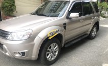 Bán xe Ford Escape 2.3L, số tự động, 1 cầu đời 2010, màu ghi vàng Bán xe Ford Escape 2.3L, số tự động, 1 cầu đời 2010, màu ghi vàng