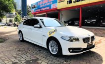 Bán ô tô BMW 5 Series 520i sản xuất năm 2014, màu trắng, xe nhập Bán ô tô BMW 5 Series 520i sản xuất năm 2014, màu trắng, xe nhập