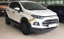 Bán Ford EcoSport Titanium đời 2015, màu trắng, 455tr Bán Ford EcoSport Titanium đời 2015, màu trắng, 455tr