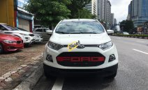 Cần bán Ford EcoSport Titanium 1.5 AT năm sản xuất 2015, màu trắng Cần bán Ford EcoSport Titanium 1.5 AT năm sản xuất 2015, màu trắng