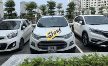 Bán xe Ford EcoSport sản xuất 2014, màu trắng, nhập khẩu Bán xe Ford EcoSport sản xuất 2014, màu trắng, nhập khẩu