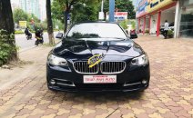 Xe BMW 5 Series 520i đời 2015, màu xanh lam, nhập khẩu nguyên chiếc Xe BMW 5 Series 520i đời 2015, màu xanh lam, nhập khẩu nguyên chiếc