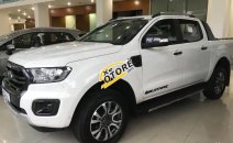 Bán Ford Ranger XLS 2019, nhập khẩu, giảm giá mạnh, tặng BHVC, phụ kiện Bán Ford Ranger XLS 2019, nhập khẩu, giảm giá mạnh, tặng BHVC, phụ kiện