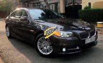 Cần bán gấp BMW 5 Series 520i sản xuất 2014, nhập khẩu nguyên chiếc Cần bán gấp BMW 5 Series 520i sản xuất 2014, nhập khẩu nguyên chiếc