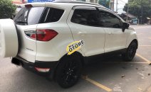 Bán Ford EcoSport Titanium đời 2015, màu trắng số tự động giá cạnh tranh Bán Ford EcoSport Titanium đời 2015, màu trắng số tự động giá cạnh tranh