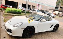Bán Porsche Cayman đời 2009, màu trắng, xe nhập chính hãng