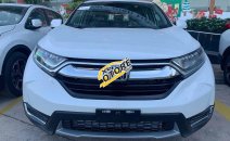 Tậu xế giá rẻ - Vi vu Tết về, Honda CRV G năm sản xuất 2019, màu trắng Tậu xế giá rẻ - Vi vu Tết về, Honda CRV G năm sản xuất 2019, màu trắng
