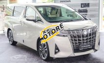 Cần bán xe hạnh sang Toyota Alphard Luxury đời 2019, màu trắng, giá cạnh tranh Cần bán xe hạnh sang Toyota Alphard Luxury đời 2019, màu trắng, giá cạnh tranh